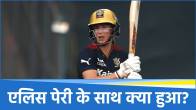 Ellyse Perry