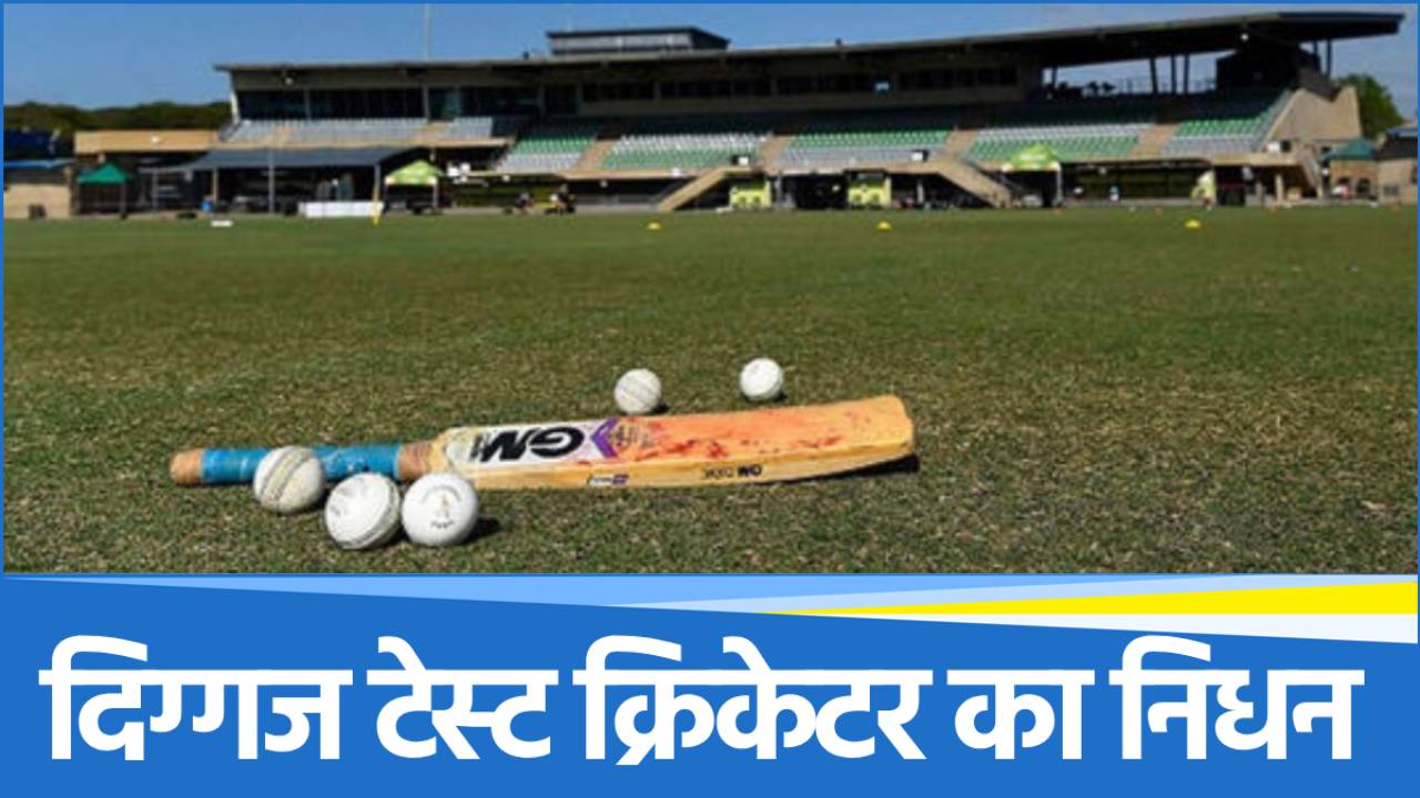 Cricket (1) Cricket