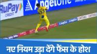 Cricket Rule