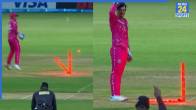 Rovman Powell Run Out